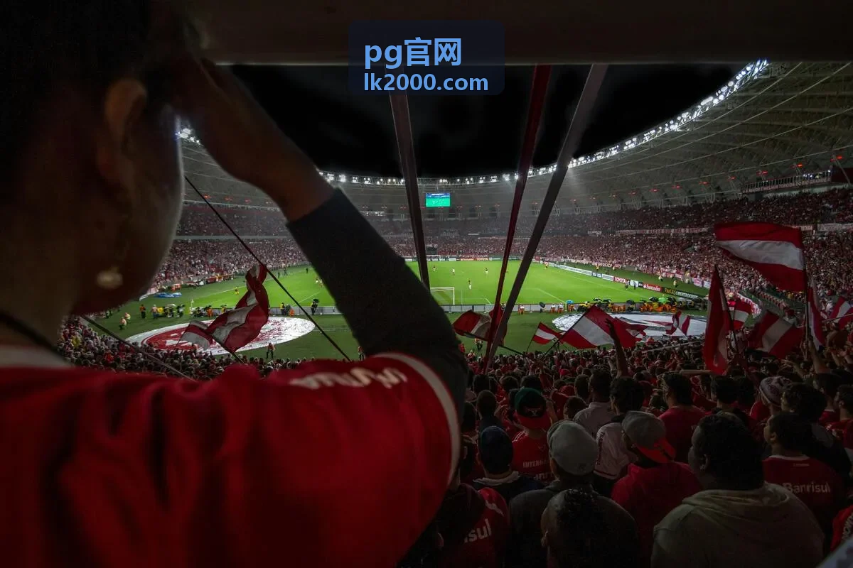 pg官网平台功能模块说明封面